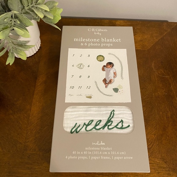 C.R Gibbons milestone blanket &6 photo props 40x40 - Picture 6 of 10